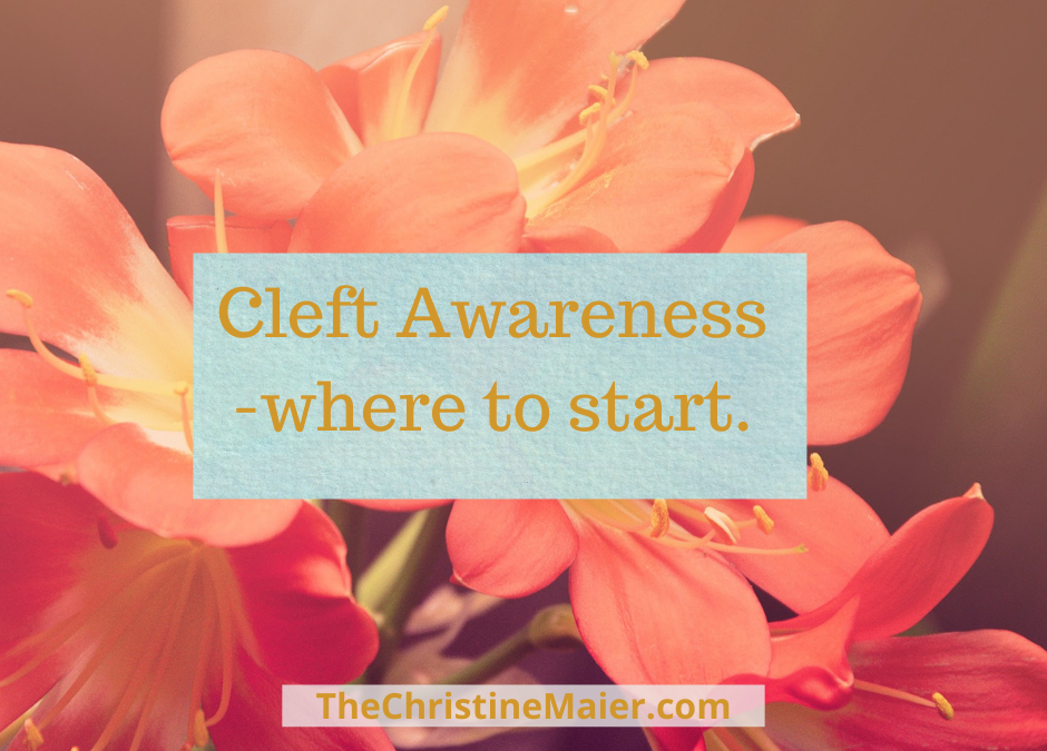 Cleft Awareness & The Transform Challenge